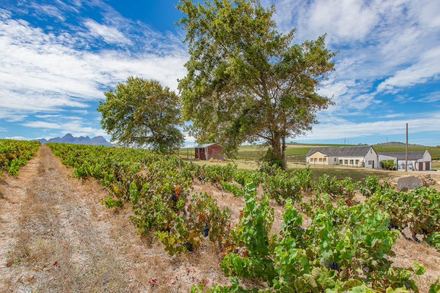 6 Bedroom Property for Sale in Lyndoch Western Cape